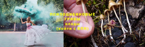 2c-b Балахна